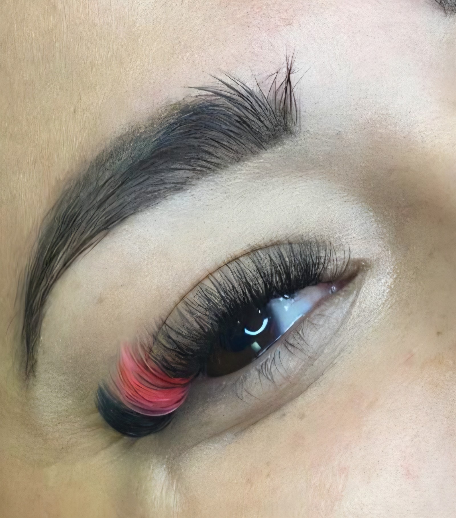 Close-up of volume lash extensions with pink colour accent detail at Ash's Lashes and Esthetics