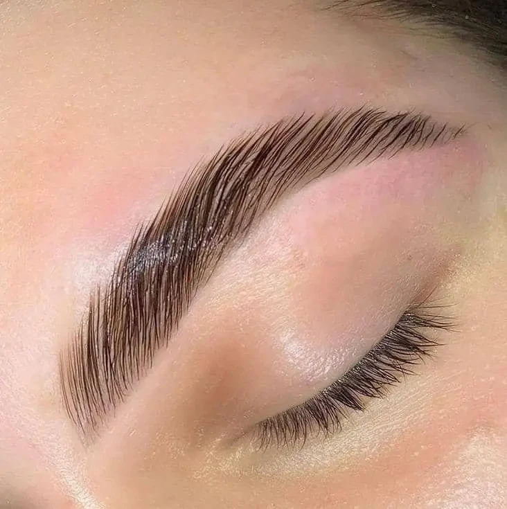 Sculpted defined brows after lamination and tint treatment